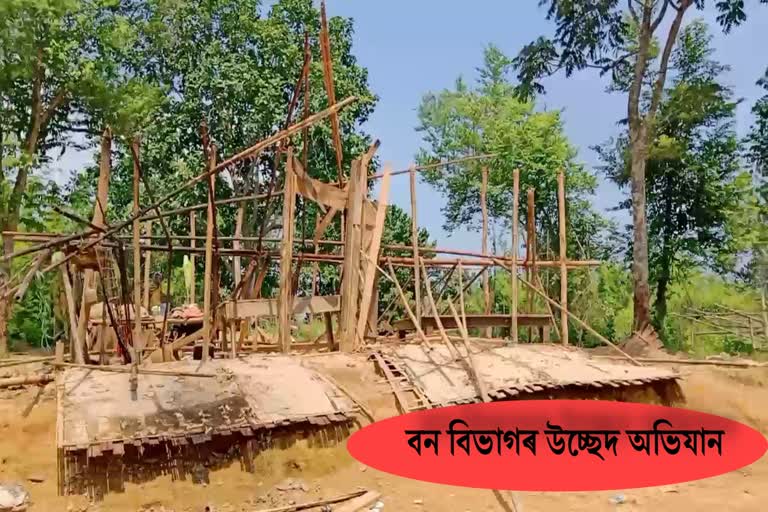 লংকাই সংৰক্ষিত বনাঞ্চলত বন বিভাগৰ হাতুৰা