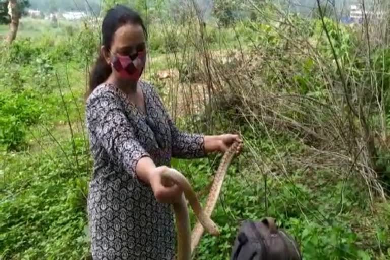 Female Snake Catcher