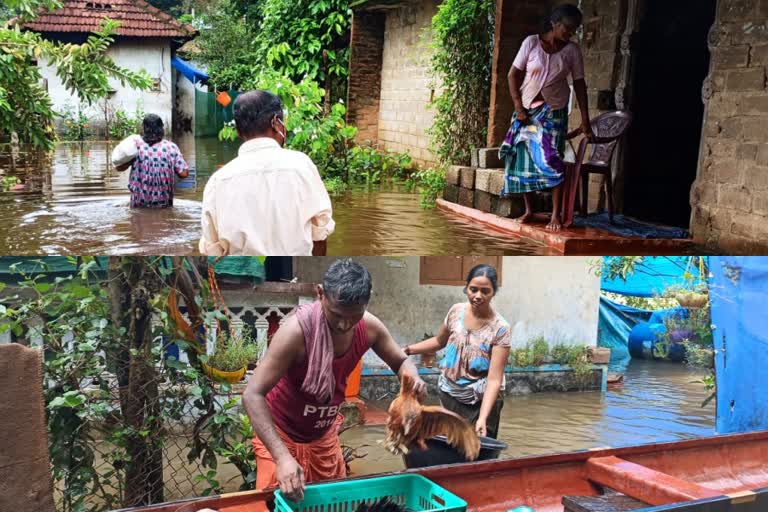 RESUCE CAMPS STARTED IN ALAPPUZHA  RESUCE CAMPS  ALAPPUZHA  ദുരിതാശ്വാസ ക്യാമ്പ്  കനത്തമഴ  ചേർത്തല താലൂക്ക്  ഗവണ്‍മെന്‍റ് സ്കൂൾ  ചെങ്ങന്നൂർ താലൂക്ക്  ഭക്ഷണവിതരണ കേന്ദ്രം  ക്വാറന്‍റൈൻ