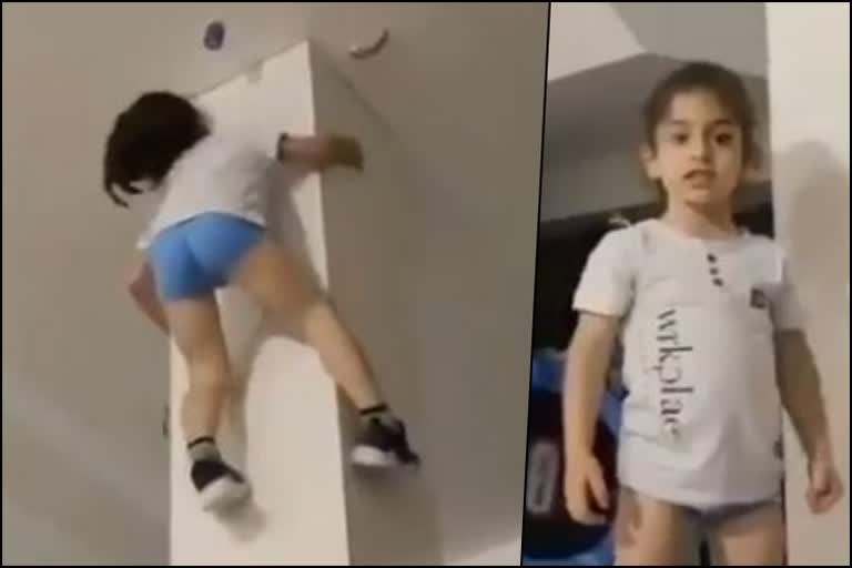 Impresses The Internet With His Climbing Skills