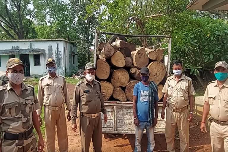 illigal-wood-seized-from-jajpur