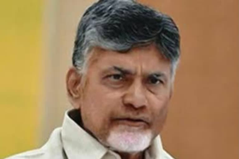 tdp leader chandrababu naidu