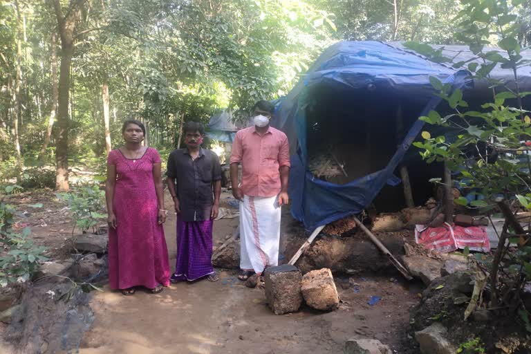 Elephant attack  Vellakkatta  ഒറ്റയാൻ  ജനവാസ കേന്ദ്രം  കുടിൽ  Hut  വഴിക്കടവ്  മലപ്പുറം