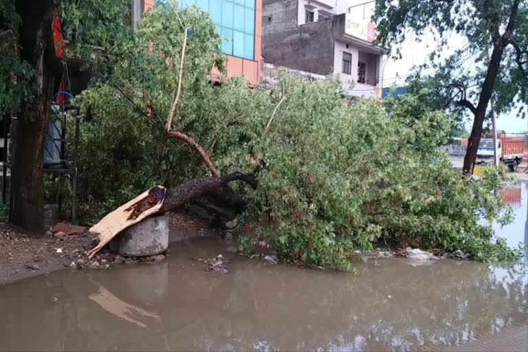 rain in alwar, alwar rain news