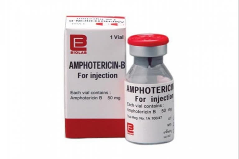 Amphotericin B drug