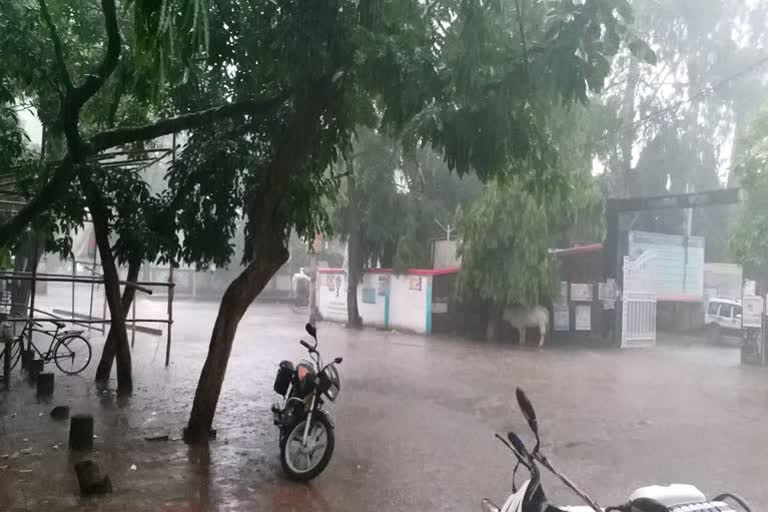 monsoon in bihar 2021