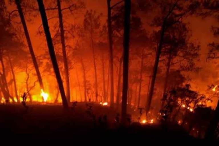 IAF joins fire fighting operation as forest blaze rages in J-Ks Udhampur