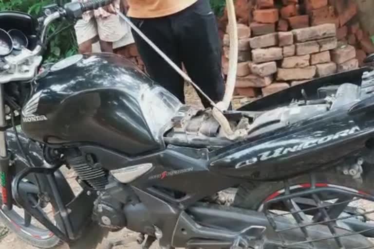 snake rescue motorcyclei in garadpur of kendrapada