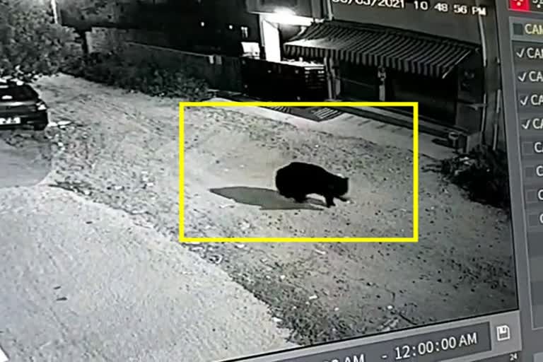 CCTV Footage