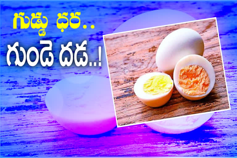 Egg prices: గుడ్డు ధర ఎంత అయిందో తెలుసా..?