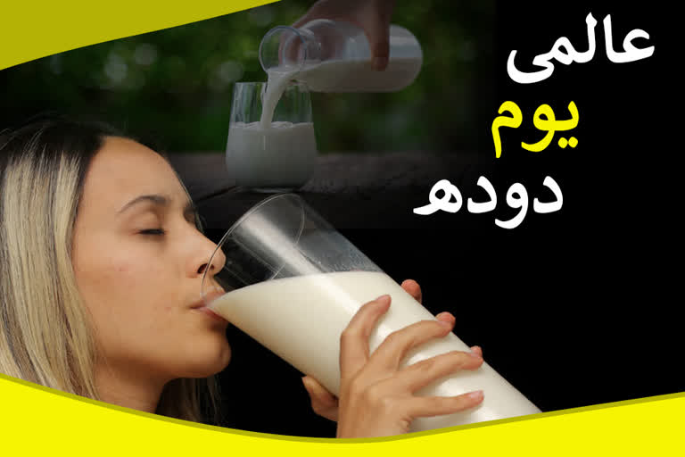 world milk day 2021