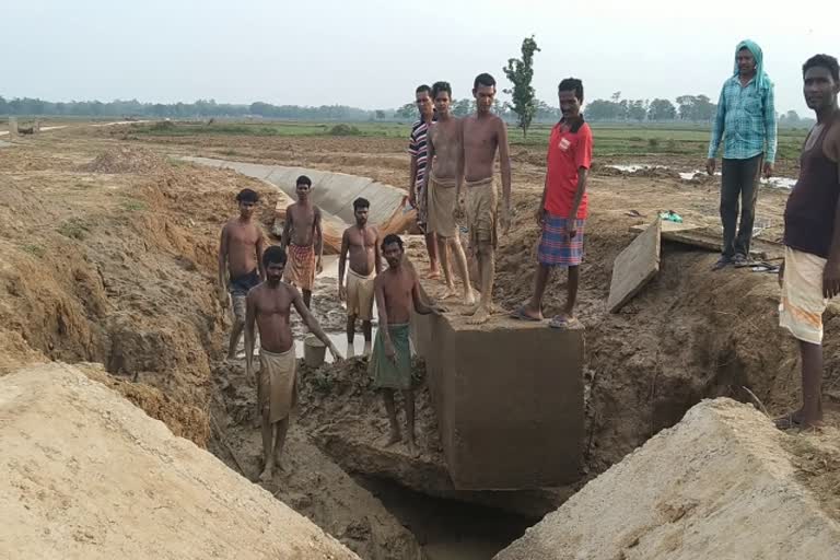 under-construction-irrigation-canal-broken-in-chaibasa