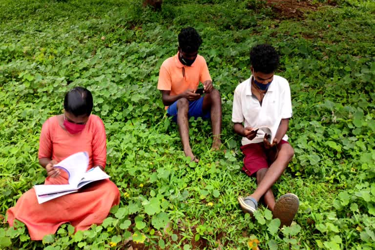 online education Issue Kannurt  ടീവി  ഇന്‍റർനെറ്റ്  പ്രവേശനോത്സവം  വിദ്യാഭ്യാസ വകുപ്പ്  വിദ്യാര്‍ഥി  സര്‍ക്കാര്‍  ഡിജിറ്റല്‍ പഠനം  മൊബൈൽ  ആറളം ഫാം  വൈദ്യുതി  c