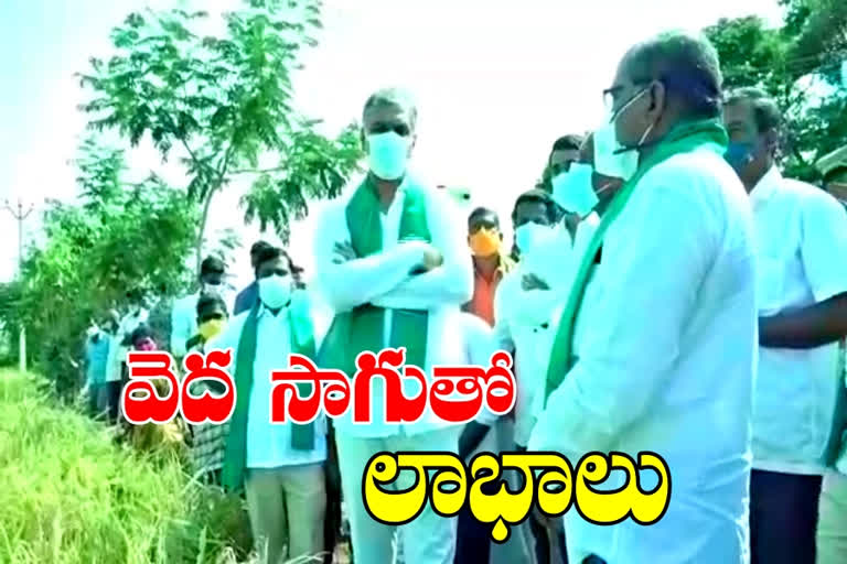 Harish rao: వరిసాగులో వెదసాగు పద్ధతిని రైతులు ప్రోత్సహించాలి