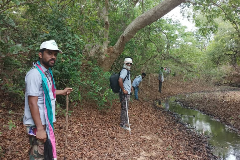 .त्या वाघिणीचा युद्धस्तरावर शोध सुरू