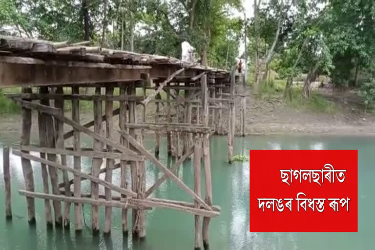 Pathsala Bembo bridge