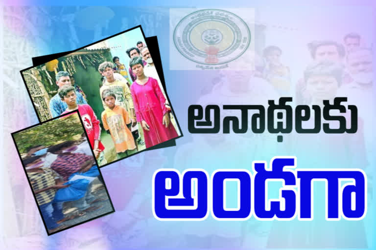 ap government , ap government  helps orphans