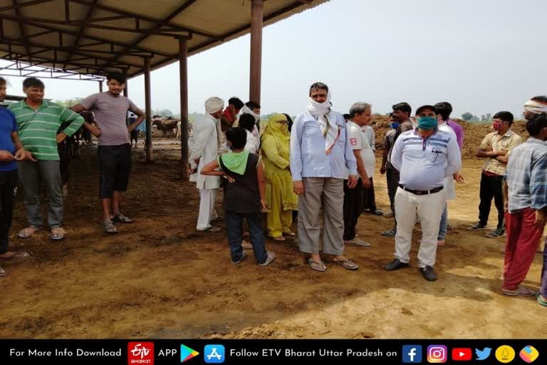 गोवंश के अवशेष मिलने से मचा हड़कंप