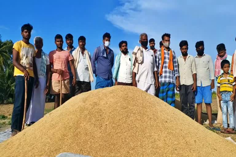 Lack of paddy buyers