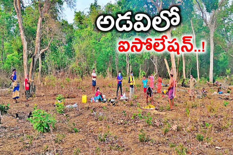 isolation, isolation in forest, isolation in forest in bhupalpally