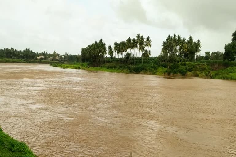 flood situation in chandoli 