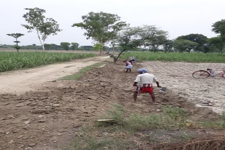 migrant laborers being given employment under mgnrega scheme in bahraich