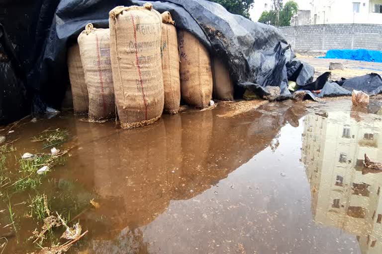 Grain soaked in rains in Metpalli, Jagittala district