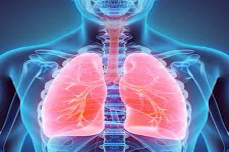 experts appeal for strengthen lungs