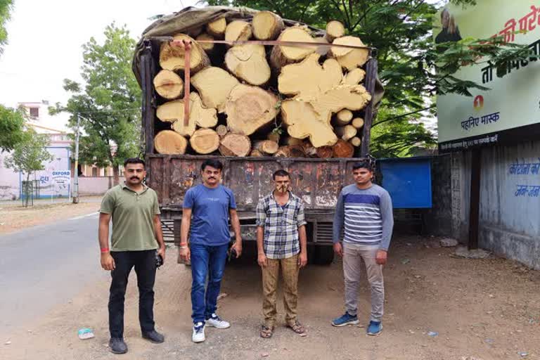 accused arrested, illegal wood, dungarur