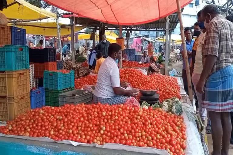 தக்காளி கொள்முதல்