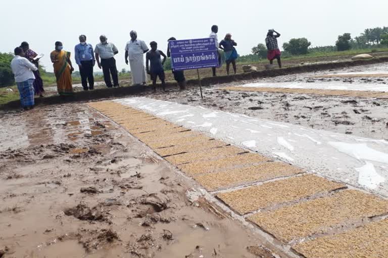 அலங்காநல்லூர் வேளாண்மை துறை திட்ட பணிகளை மாநில திட்ட ஆலோசகர் நேரில் ஆய்வு!