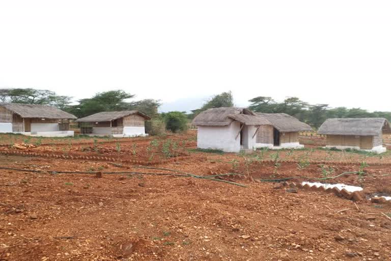 Tribal people Model Village in Bhavanisagar