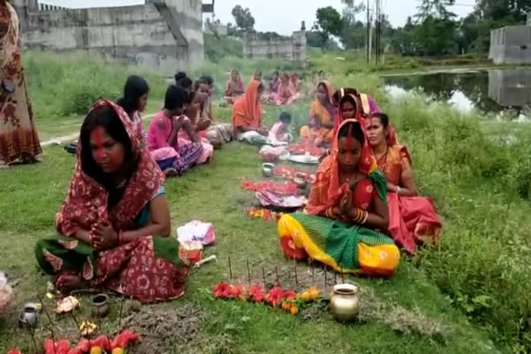 Corona puja held in uttar dinajpur