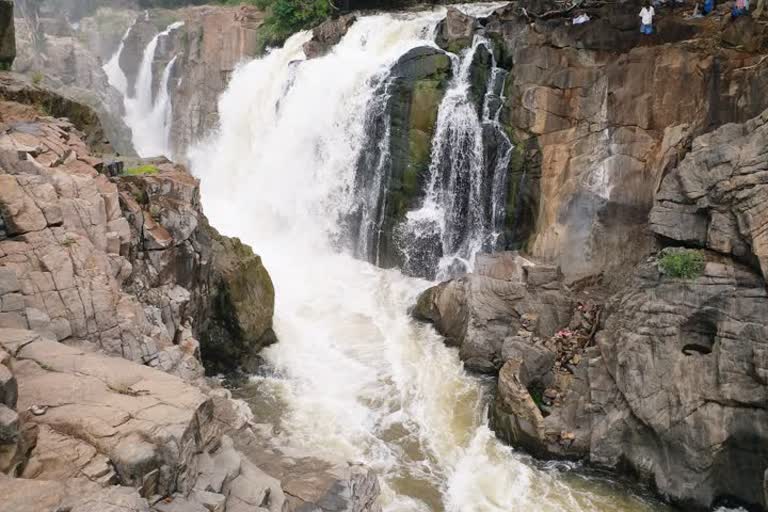 The water level in the Hogenakkal Cauvery River is low