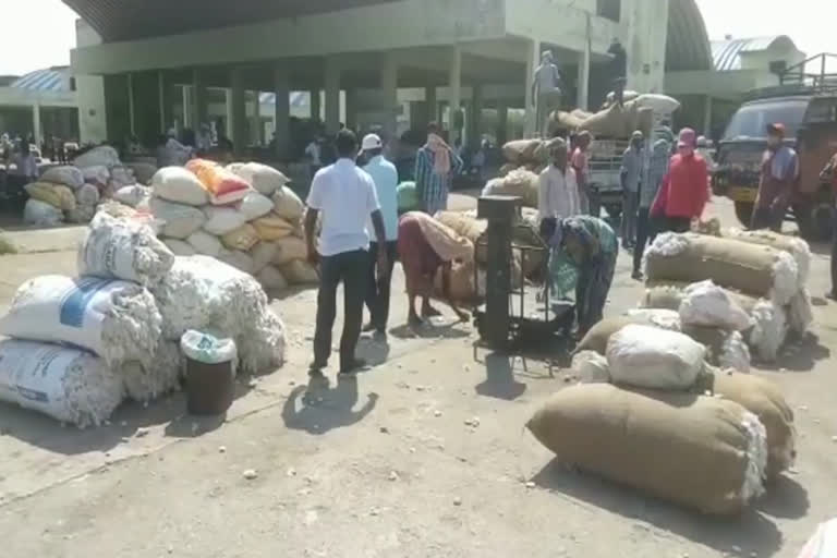 enumamula market, cotton rates 