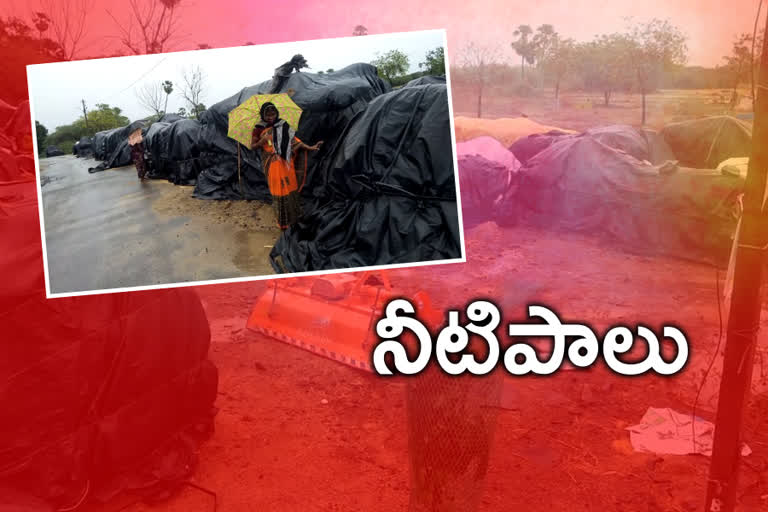 heavy rains in warangal rural district