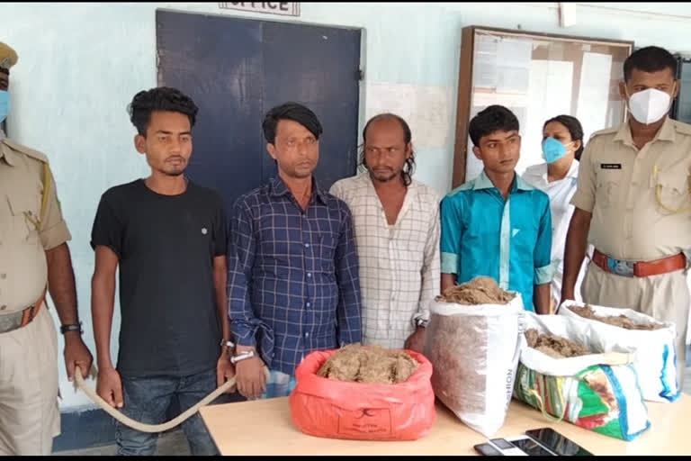 ganja smuggler arrested in darang