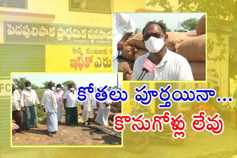 farmers problems with not buying paddy grain in krishna district