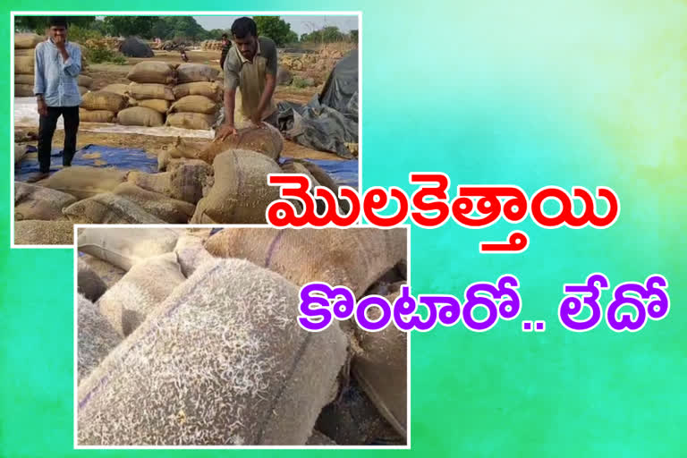 paddy grains collapsed in karimnagar