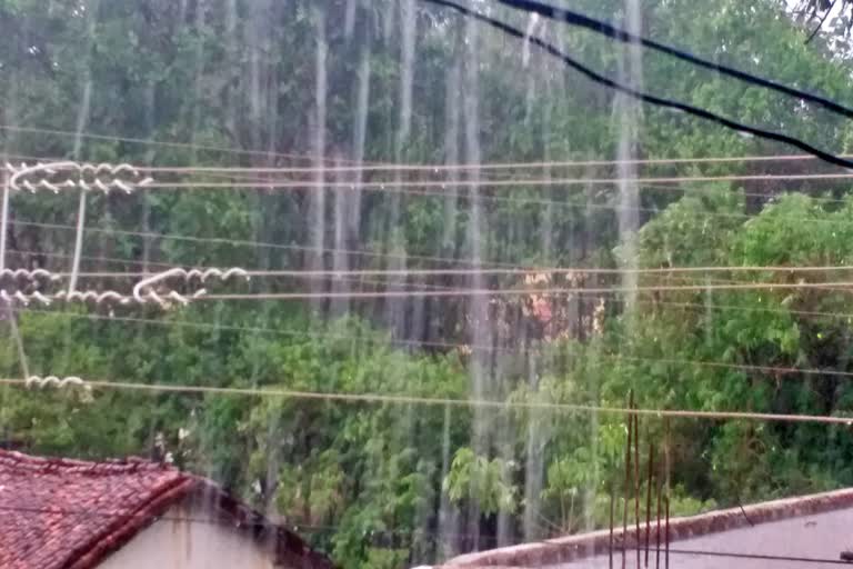 heavy rain in gariyaband