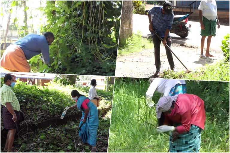 ETV Bharat Impac  CPM cleaned Sub-Registrar's office and surroundings  ഇ.ടി.വി ഭാരത് ഇംപാക്‌ട്  കാടുമൂടിയ രാജകുമാരി സബ് രജിസ്റ്റാർ ഓഫിസും പരിസരവും വൃത്തിയാക്കി സി.പി.എം  സി.പി.എം രാജകുമാരി നോർത്ത് ലോക്കൽ കമ്മിറ്റി  CPM Princess North Local Committee  സി.പി.എം സംസ്ഥാന കമ്മിറ്റിയുടെ നിർദേശ പ്രകാരം  As per the directions of the CPM State Committee