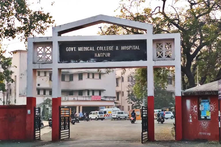 Nagpur - 8 corona patients die