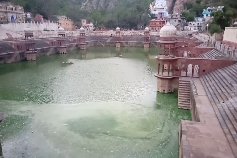 Dirt all around in Sagar Reservoir, सागर जलाशय में चारों तरफ गंदगी