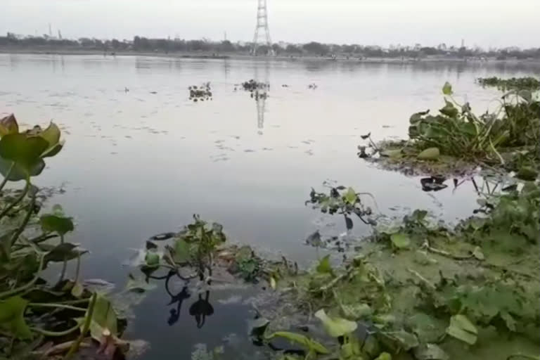 delhi jagatpur villagers and RWA officer demanded clean yamuna river