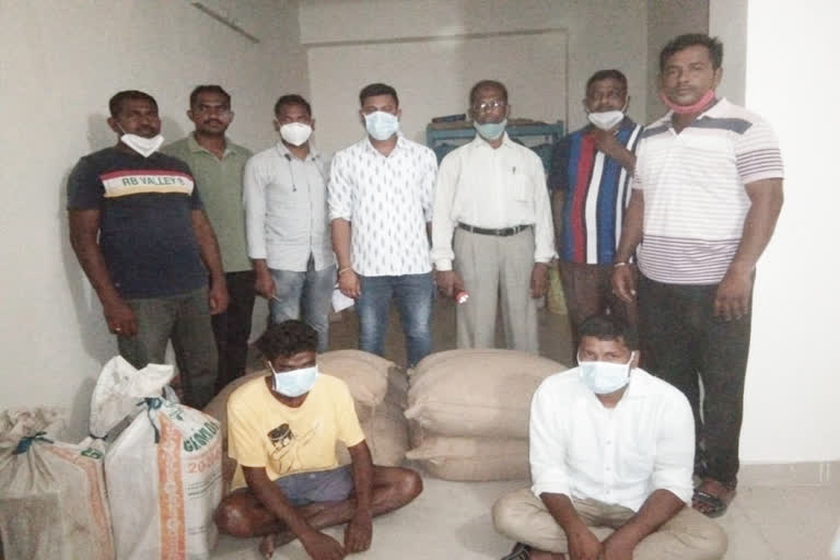 Arrest of a gang selling banned cotton seeds