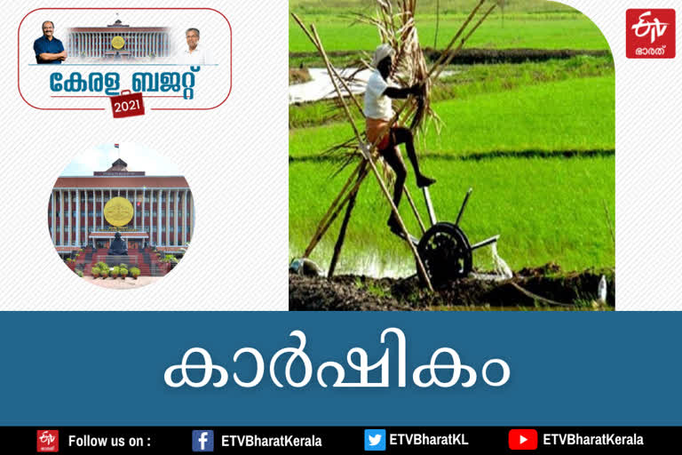 agriculture sector in kerala budget  kerala budget latest news  കേരള ബജറ്റ് വാർത്തകൾ  കാര്‍ഷിക മേഖല