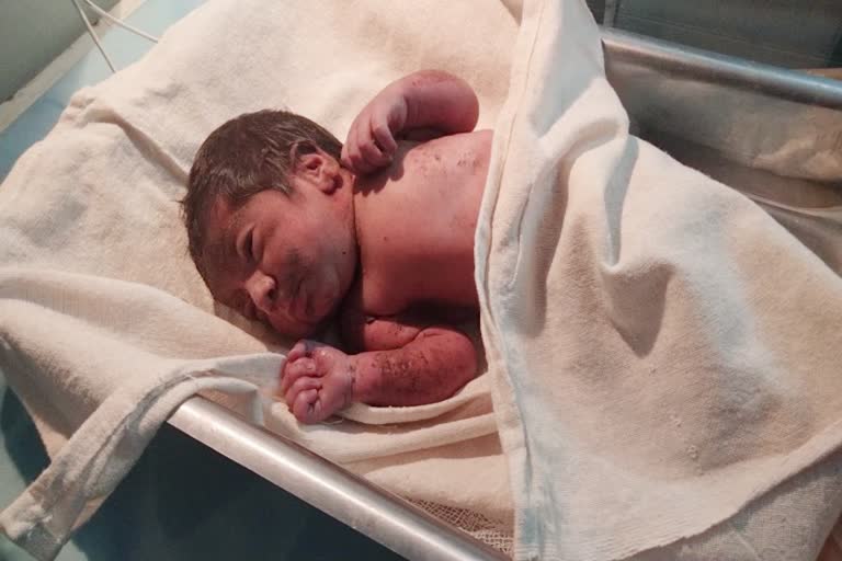 Newborn found in bushes Jaipur, Jaipur News