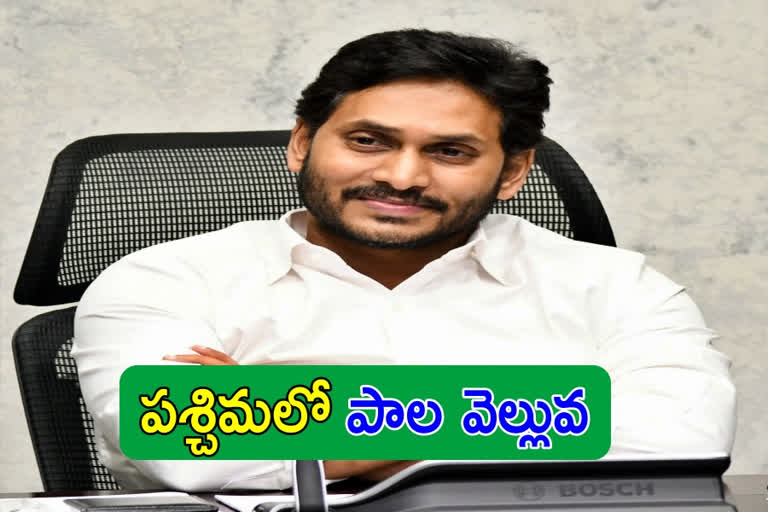 CM Jagan