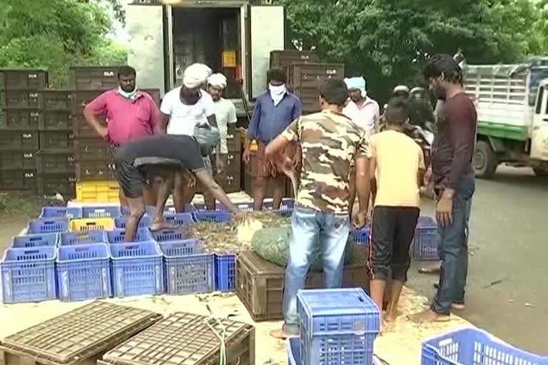 aqua farmers problems with corona cerfew in andhrapradhesh