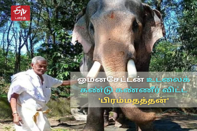 பாகன் இறப்பு அழுத யானை, அழுத கேரள யானை, elephant crying, kerala elephant crying video, பாகனுக்காக கண்ணீர் விட்ட யானை, யானை அழுகை, elephant crying tamil, பிரம்மதத்தன் யானை, ஓமனசேட்டன் பாகன்